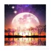 YY229(30x30cm)