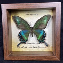 ������˱���� ľ�|�b�DIY�͹����[̨�Ҿ��b����նY��YƷ