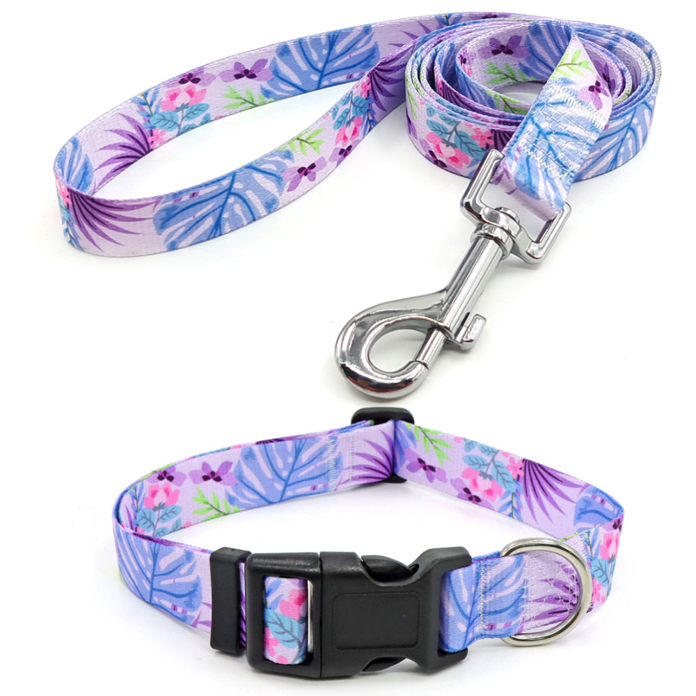 Amazon al por mayor collar de mascota corda de tracción al aire libre paseo perro collar perro collar en el viento