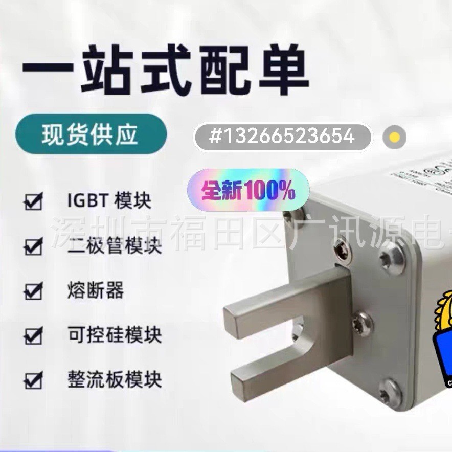 BUSSMANN熔断器170M6461 170M6466 170M6467 170M6468熔芯 巴斯曼