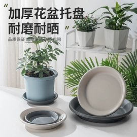 园艺工具;马桶刷;清洁球/刷