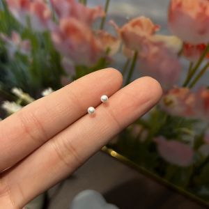 작은 진주 귀걸이 1쌍