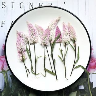 �u�ڻ��ɻ������������R�������F���ֹ�����zѺ�����Pβ��