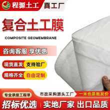 防渗土工膜水产养殖膜人工湖防渗河道护坡hdpe一布一膜复合土工膜