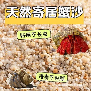 �ľ�зɳˮ�з��ɳʯ��Ȼ�|��ԭ��ؐ��ɳ��ϴ�~���쾰ɳ�Ӳ��P�