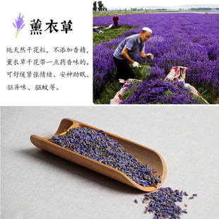 2U8K5A��޹�²���Ȼ�ɻ���ɢ�b�������������^܇�d���������