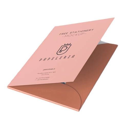 Customized A4 folder with die-cut card sleeve for corporate exhibition, printed health report card, and custom folder cover.