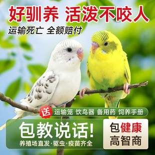 �W�^���B��Ƥ�W�^�B�С�B���W�fԒ���B����С��һ��һĸS-С��