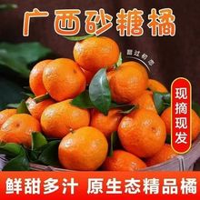 ���ڏV��ɳ�ǽۼ�������ˮ����Ƥ�o��ɰ����С���ӽ���ɰ�������l