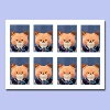 6