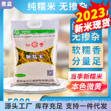 2023新糯米金坛糯米10斤常州香糯米包粽子糯米酒酿白江米圆糯米
