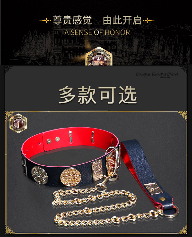 Metal and Leather Collar with Flying Fish Chain for Adult Bondage Restraint Play — detail image 4