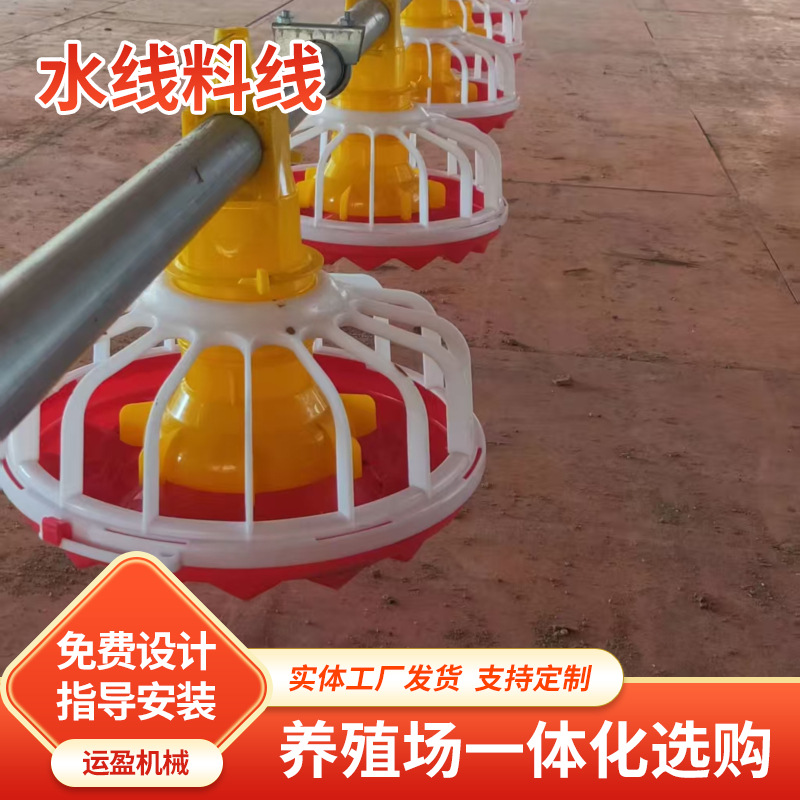 畜禽自动供料系统 蛋鸡猪场养殖料线自动饮水线 全自动养殖上料线