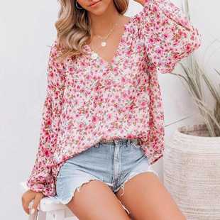 2025�＾�¿� ��ɫ�黨 V�I�������@���� ������@�L Ůʿ����