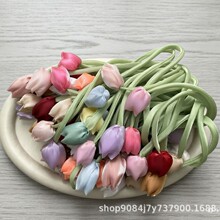 �nϵ���w��ˇ�����㻨�Ʒ����ll�A�l�K���b������������o��
