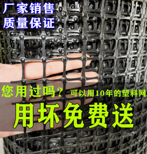 塑料网防护栏围栏隔离栏养殖鸡鸭小孔网阳台漏粪网护栏网圈玉米网