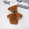 Beacon bear