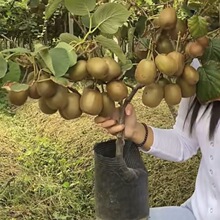 �J���Ҙ����޽�����t��ܛ���J�������Ϸ������Nֲ���J������