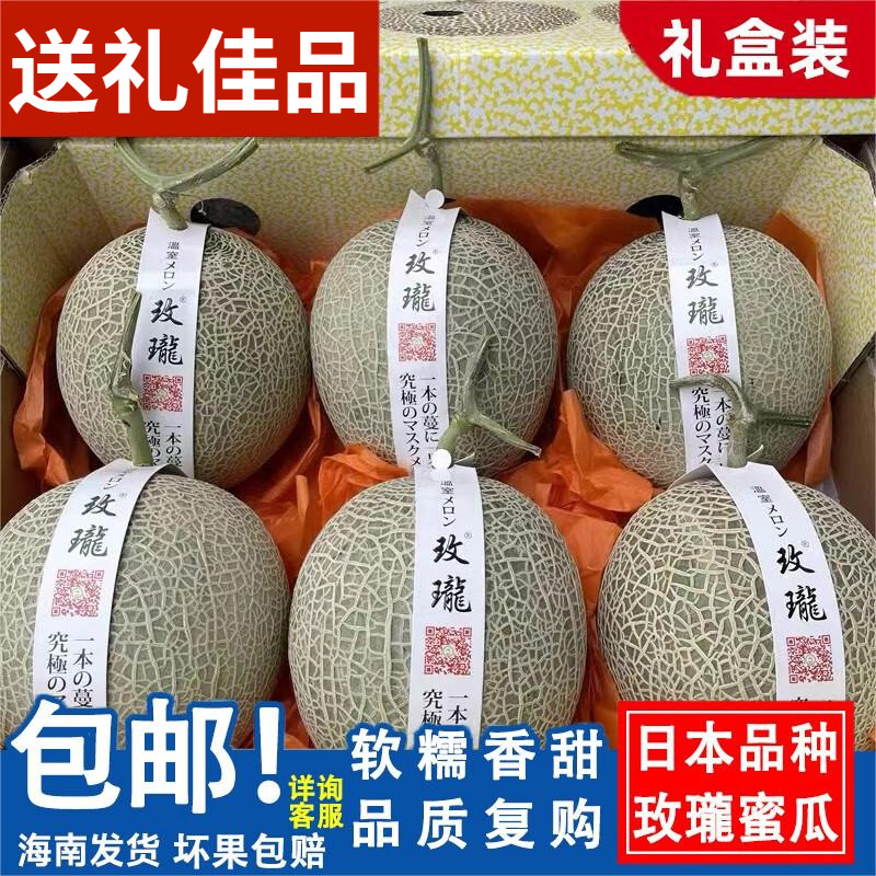 Hainan Linglong netted honey melon 10 jin current season freshly picked ice cream cantaloupe sweet fruit gift box玫