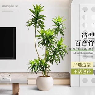 �ٺ���͏d�Gֲ�������҃ȴ������ʽ�����������Ϙ���լ�滨����