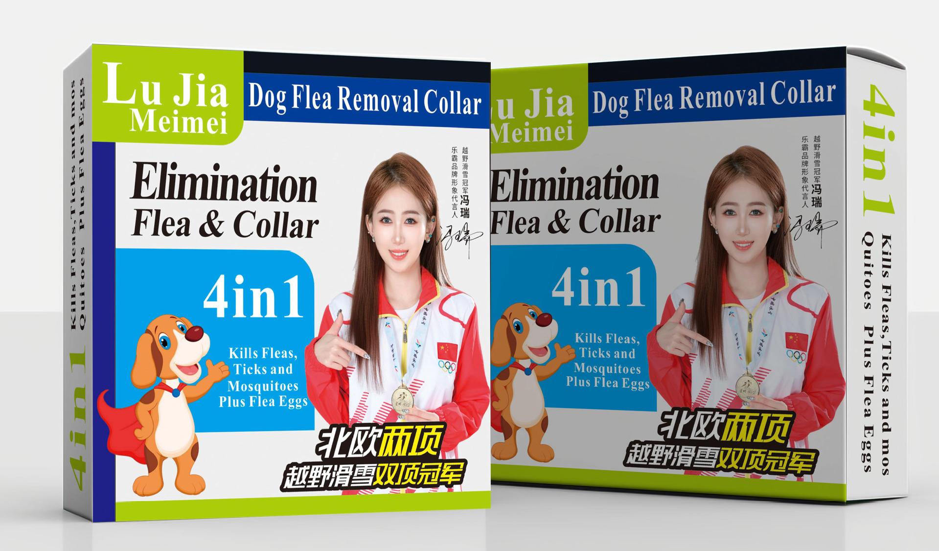 수출 마을 영어 개 상자 마을