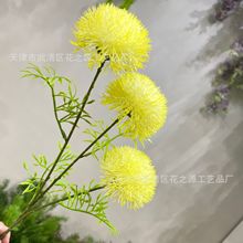 3^5^[ YûcˇbѹӢٻ ҾĈD