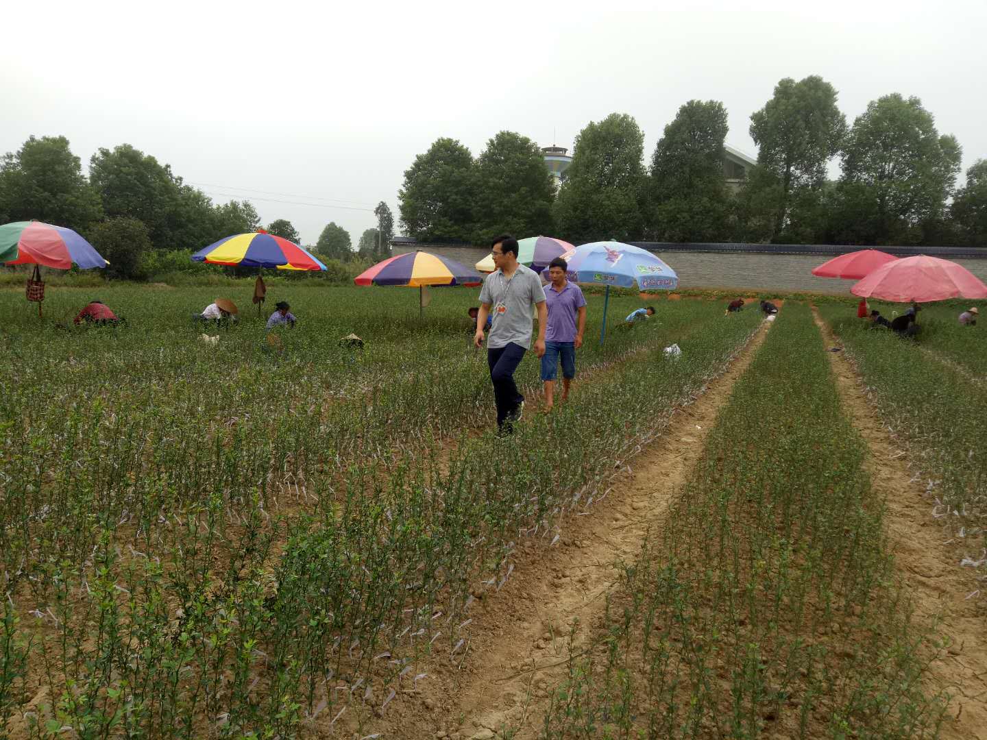 ΢��ͼƬ_2018091812345014