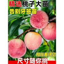 ����ˮ���Ҙ���޽Ӵ����S�Ү���Y���ϱ���ͥԺ�Nֲ�Ҙ�����ȫ