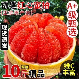 ���ڼt������10�����r������ˮ���Fժƽ�����t����������������]