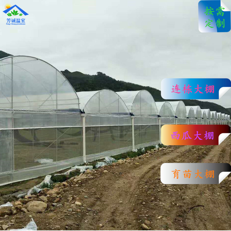 广东源头厂家供应 连栋塑料大棚 简易蔬菜种植温室大棚经久耐用性