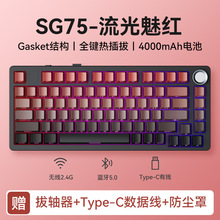 ����SG75�Cе�I�PRGB��ģ�o���{�����΂ȿ��Α���ƻ��l��늸�