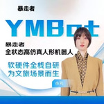 云幕智造文旅人形机器人导览讲解语音交互网红智能机器人庆典广告