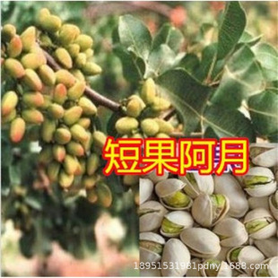 ˮ�������_�Ĺ�����G�ʼ޽Ӹ����ļ�����ͥԺ�ϱ����Nֲ����Y��