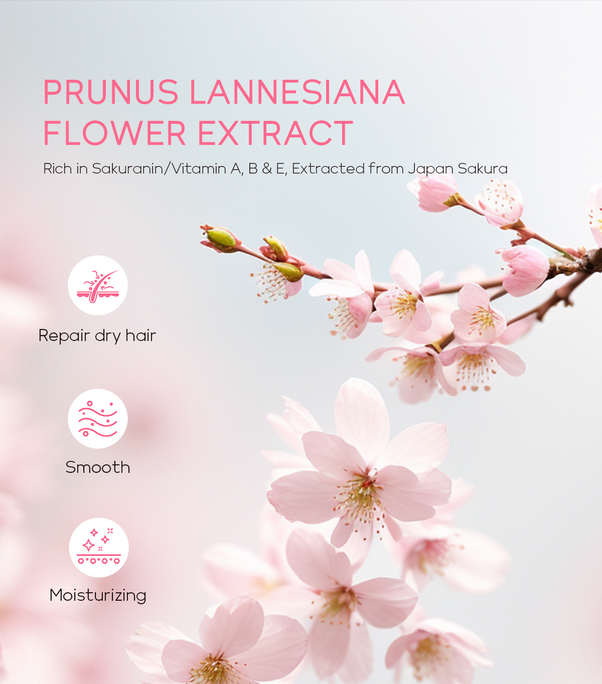 Cross-border LAIKOU Cherry Blossom Conditioner 200ml, smooth, lustrous, Moisturizing and improving frizz, factory in stock wholesale undefined