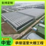 智能工程种植玻璃温室
