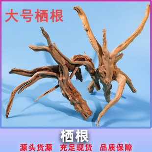 ������ƶ��N�� �~���쾰�b�ľ���l ������ľ�з��Ȼ��̖���