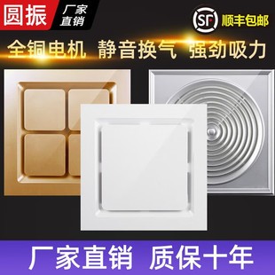 ���ɵ���Ś��ȓQ����300x300�o��N���l���g��픳������L���L