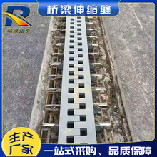 桥梁伸缩装置梳齿型桥梁伸缩缝320型SF梳型钢板桥梁伸缩装置厂家