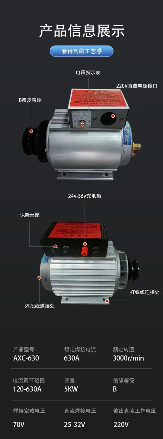 Factory In-Stock Generator 220V Dc Brushless Small Permanent Magnet Dual-Purpose Generator Outdoor Portable Generator