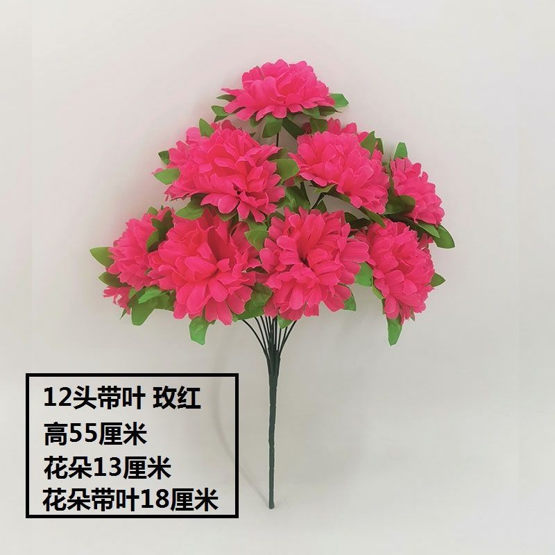 12 chrysanthemums with leaves (rose red) 1 branch - 1 branch (not including flower pot) quality choice