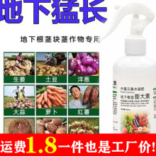 ��������ش�ɳ���Ͻ��S��������������o������a�����~�����