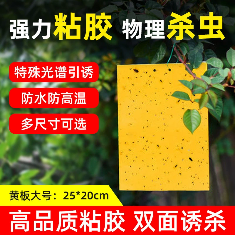 Двусторонняя липкая доска для садоводства фрукты и овощи