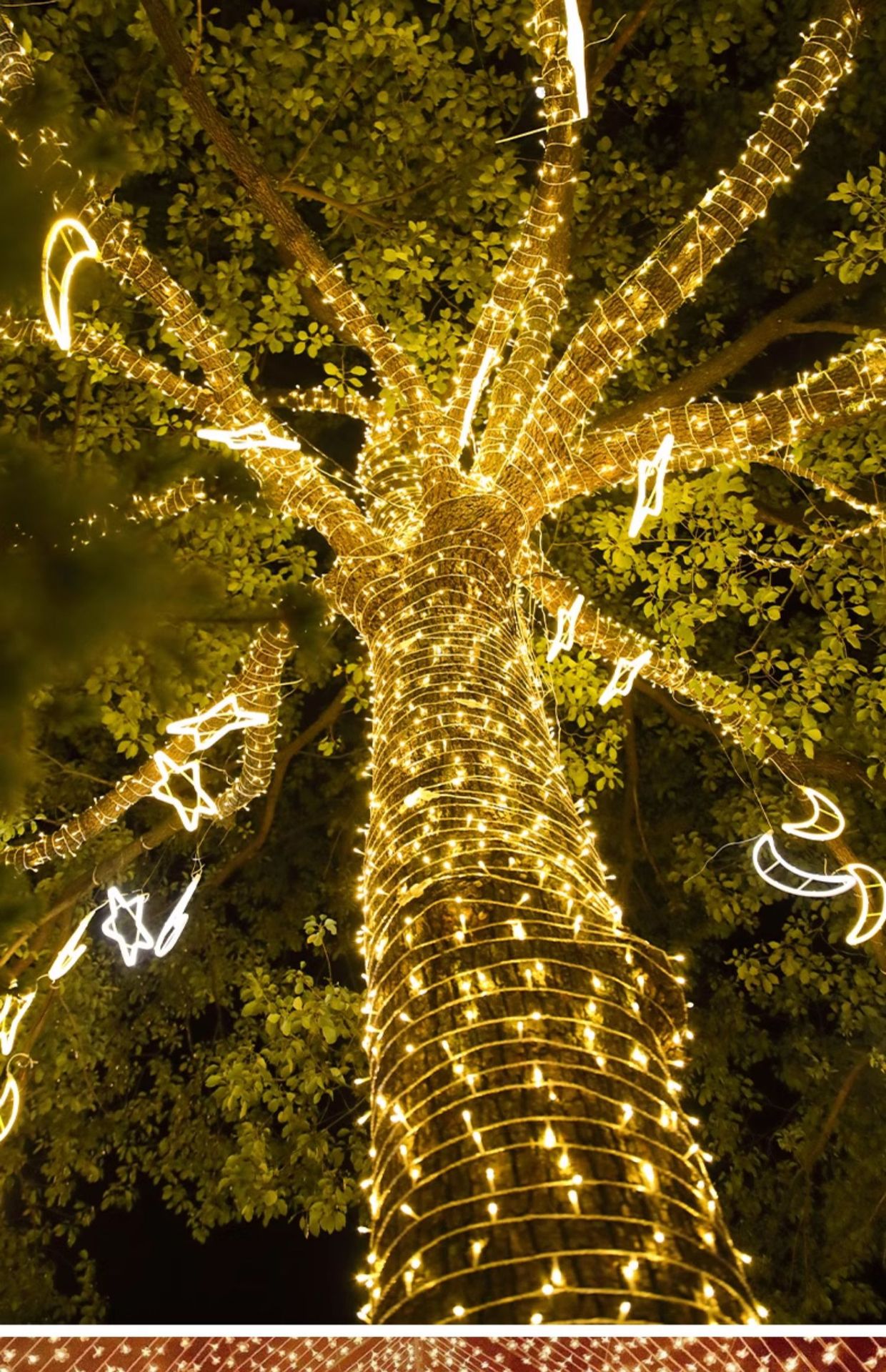 LED-Lichterkette mit blinkendem Sternenhimmel, solarbetrieben, hohe Helligkeit, wasserdicht, für den Außenbereich, stimmungsvolle Beleuchtung_voghion.com