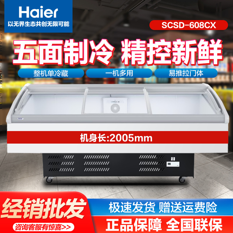 海尔（Haier）展示柜大容量全冷藏超市鲜肉海鲜陈列雪柜SC-608CX