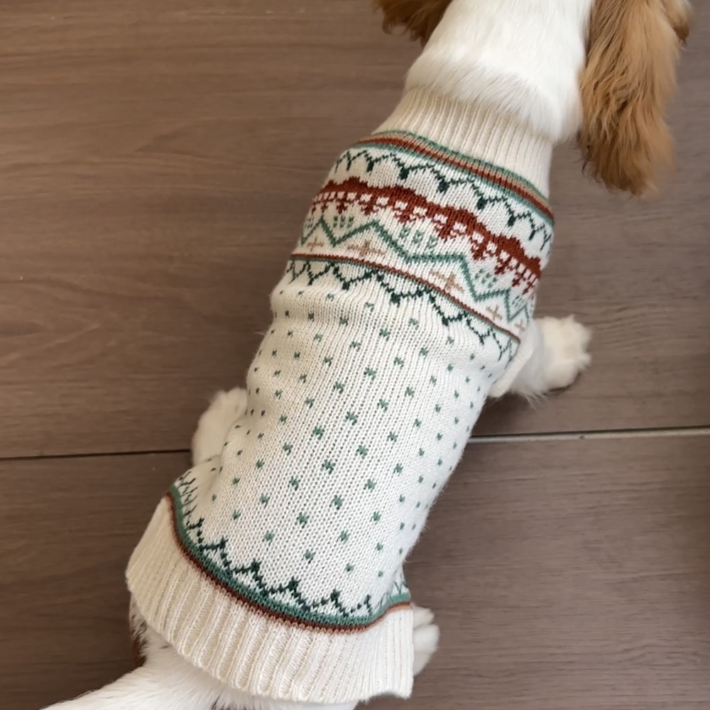demi-season keep warm sweater