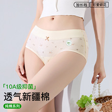 纯棉中腰女士碎花内裤10A抗菌纯棉裆透气小清新纯棉三角内裤女