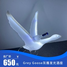 Grey Goose㷢ؼӾƿչʾLED׹Ƽ