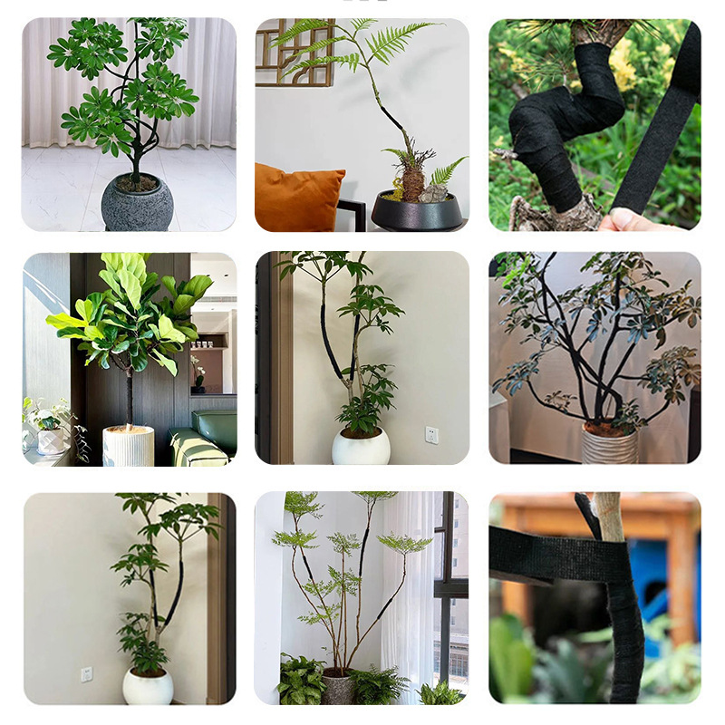Cinta de flores rasgada negra Bonsai, forma de planta, cinta fija especial, cinta adhesiva, cinta de hilo de franela, cinta de arnés