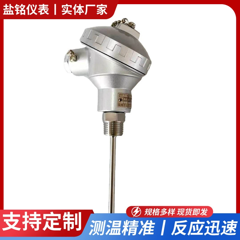 Заводская поставка WZPB-231/WZPK-236 Интегрированный датчик температуры термостойкой трубы 4-точечные зубья 4-20 мА