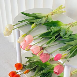 �҃ȸߙn�ٻ�ܛ�z�������ָмҾӔ[���b���챳�����յ��߷��g
